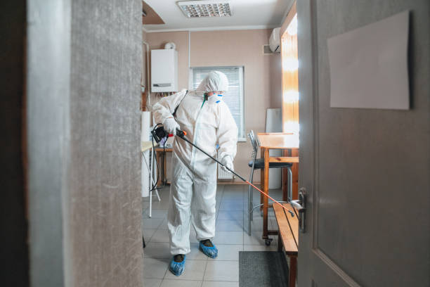 Burnettown, SC Mold Inspection, Removal & Remediation Company